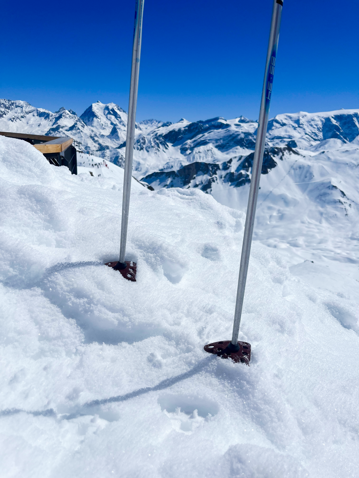 No Shit – Kackhaufen-Skimoji Skistockteller (1 Paar)