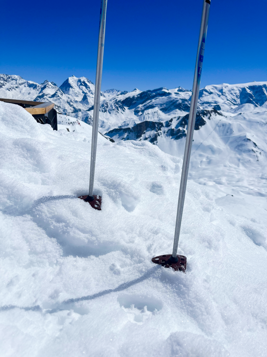 No Shit – Kackhaufen-Skimoji Skistockteller (1 Paar)
